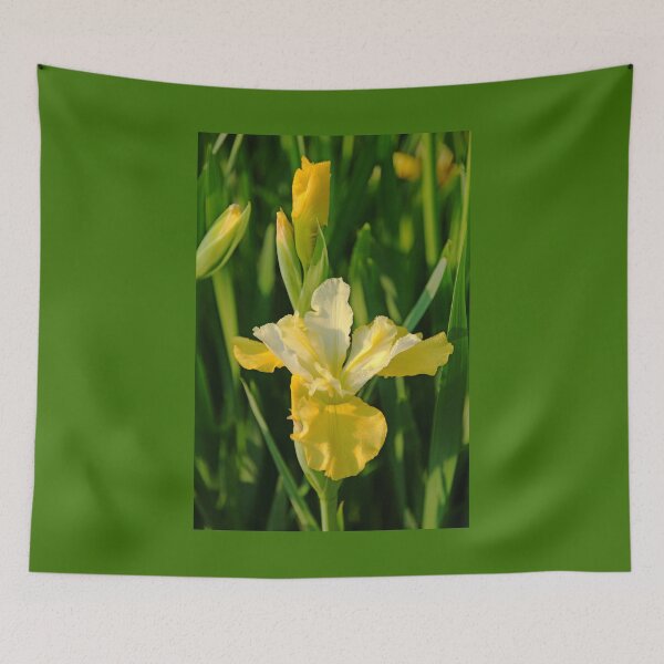 Item preview, Butter And Sugar Iris designed and sold by Debbie Oppermann.