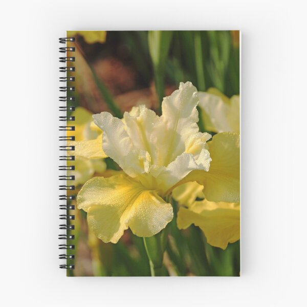 Item preview, Buttery Iris designed and sold by Debbie Oppermann.