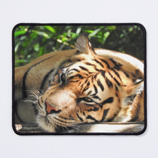 Item preview, Sumatran Tiger designed and sold by kirstybush.