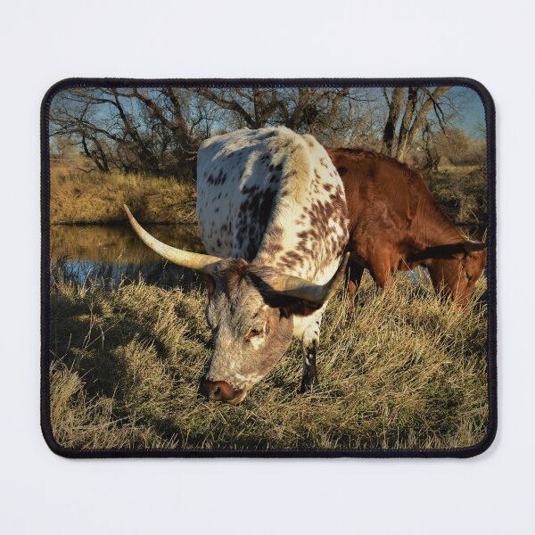 Item preview, Riverside Longhorns designed and sold by Elevated Imaging .