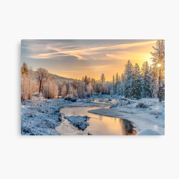 Feather River Morning Metal Print