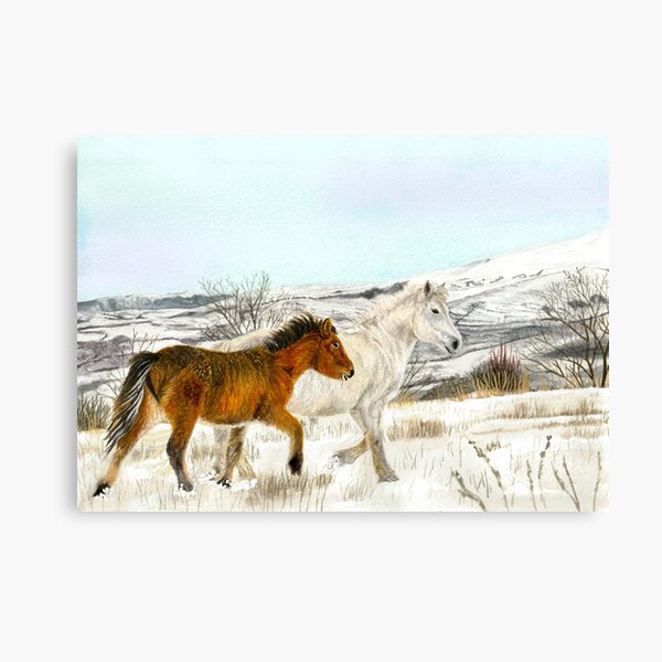 Winter Horses Watercolour Canvas Print