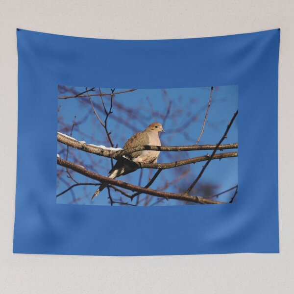 Item preview, Mourning Dove In Winter Light designed and sold by Debbie Oppermann.