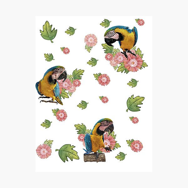 Item preview, The blue and yellow macaw designed and sold by obscurite.