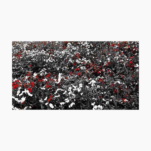 Item preview, Floral Life designed and sold by Hans Peðer Alfreð .