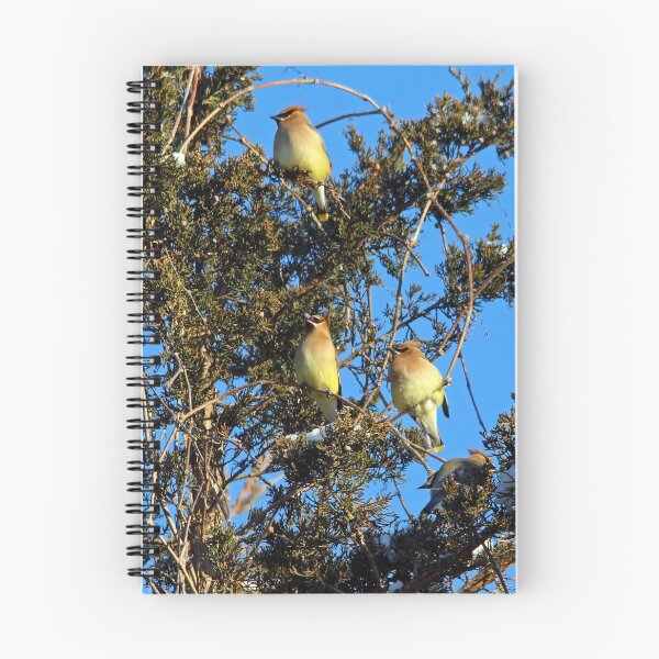 Item preview, Ear-Full Of Waxwings designed and sold by Debbie Oppermann.
