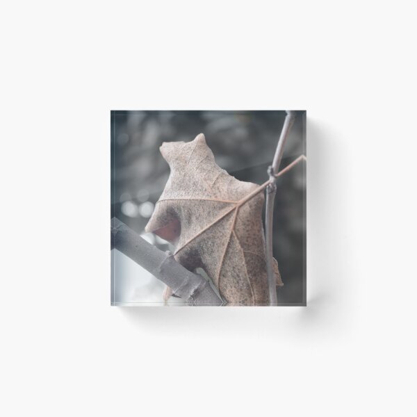 Item preview, Its Autumn Time designed and sold by Azraqcrafts.