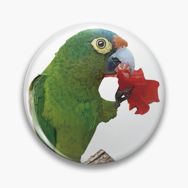 Item preview, orange fronted parakeet designed and sold by obscurite.