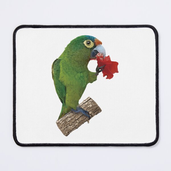 Item preview, orange fronted parakeet designed and sold by obscurite.