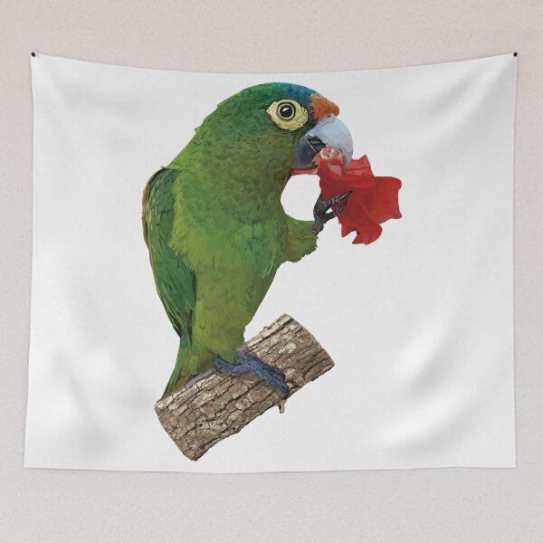 Item preview, orange fronted parakeet designed and sold by obscurite.