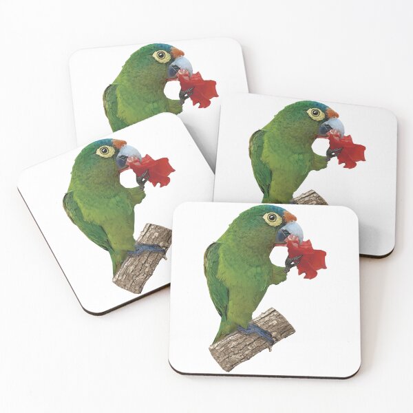 Item preview, orange fronted parakeet designed and sold by obscurite.