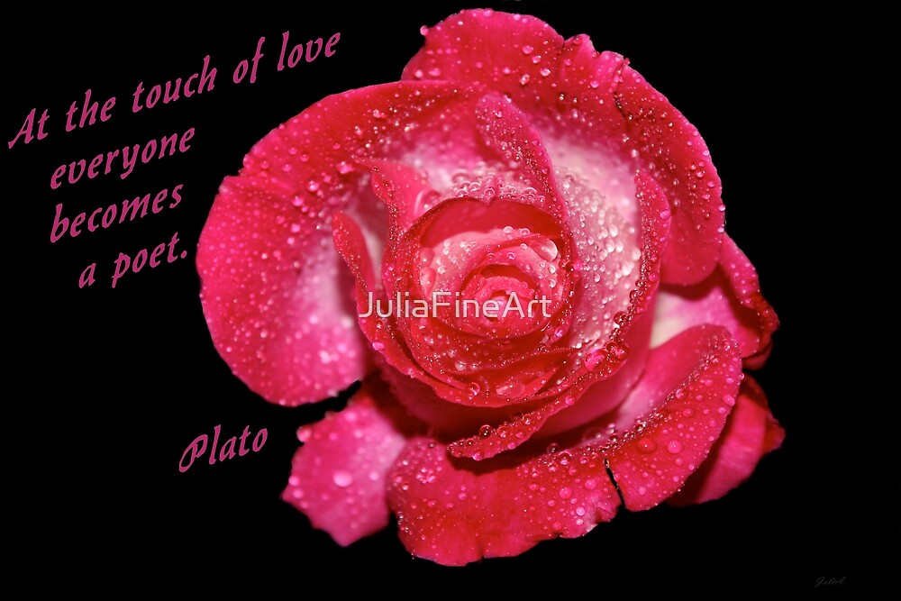 Rose Quote by JuliaFineArt