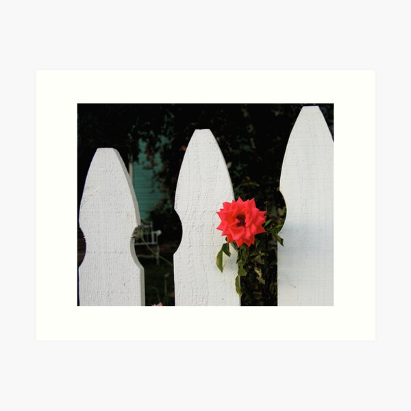 Item preview, White Picket Fence designed and sold by Ray4cam.