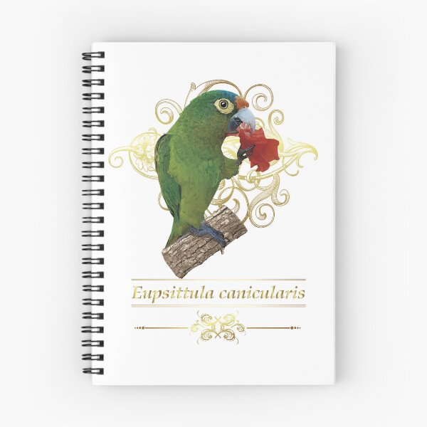 Item preview, orange fronted parakeet designed and sold by obscurite.