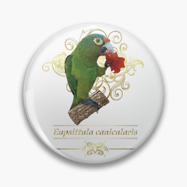Item preview, orange fronted parakeet designed and sold by obscurite.