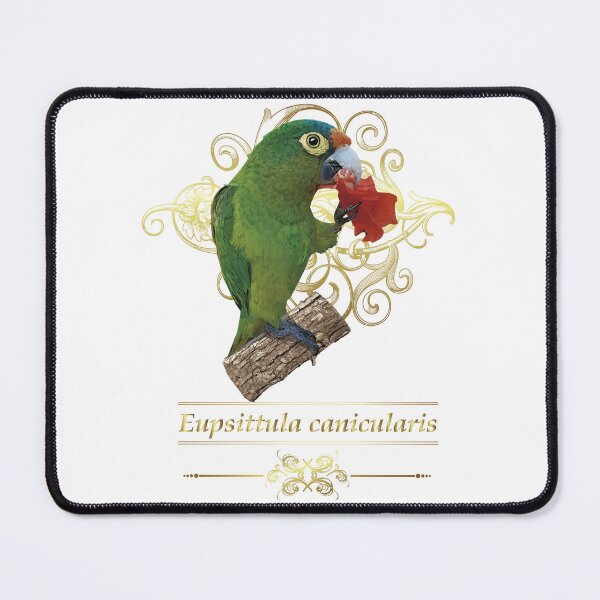 Item preview, orange fronted parakeet designed and sold by obscurite.