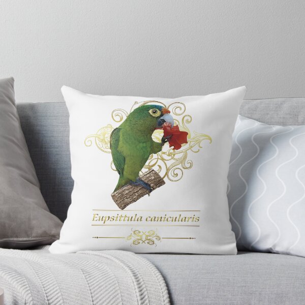 Item preview, orange fronted parakeet designed and sold by obscurite.
