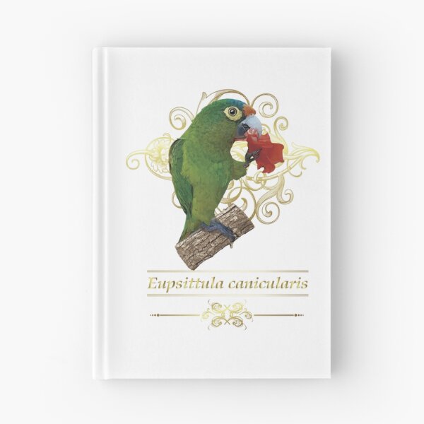 Item preview, orange fronted parakeet designed and sold by obscurite.