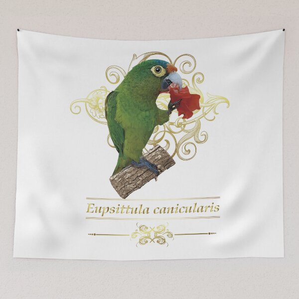 Item preview, orange fronted parakeet designed and sold by obscurite.