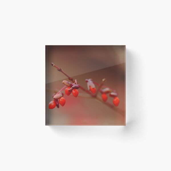 Item preview, Berry Red designed and sold by Debbie Oppermann.