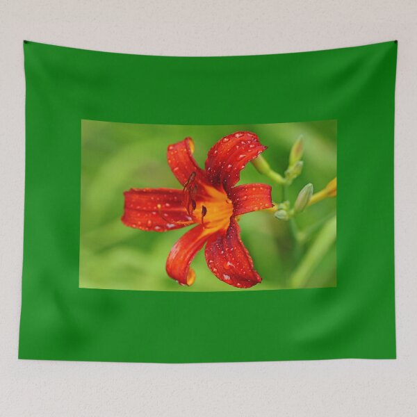 Item preview, Burnt Orange Lily designed and sold by Debbie Oppermann.