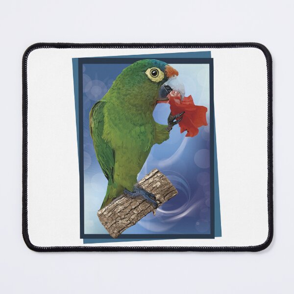 Item preview, orange fronted parakeet designed and sold by obscurite.