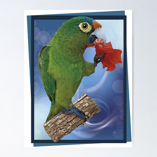 Item preview, orange fronted parakeet designed and sold by obscurite.