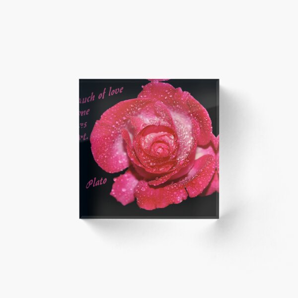 Rose Quote Acrylic Block