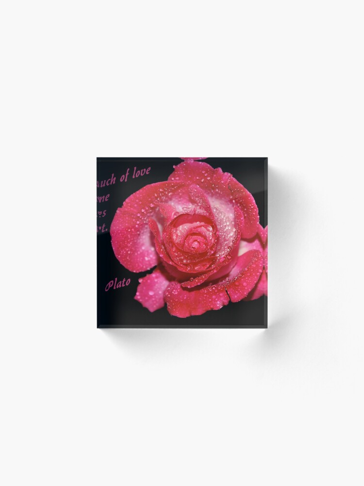 Alternate view of Rose Quote Acrylic Block