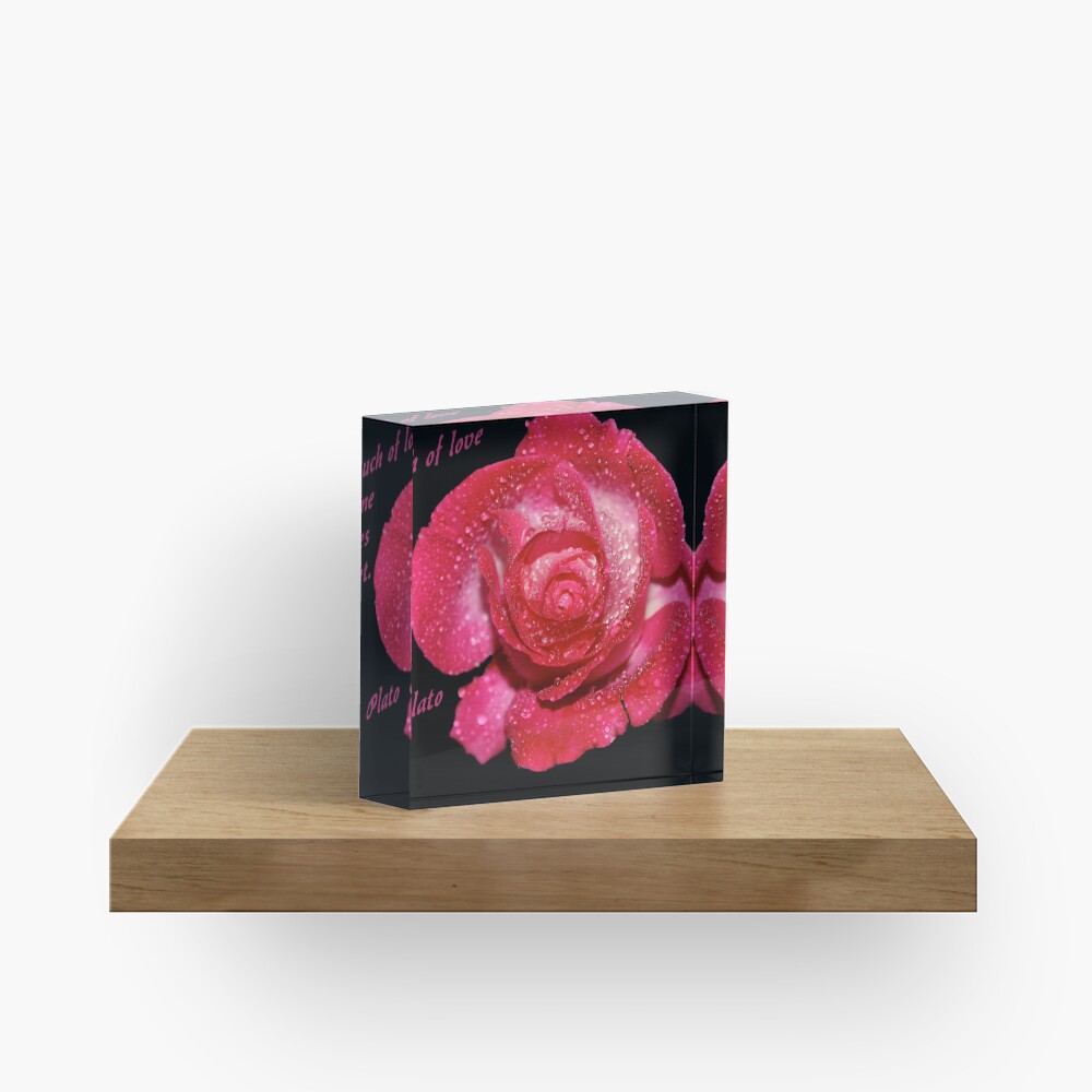 Rose Quote Acrylic Block