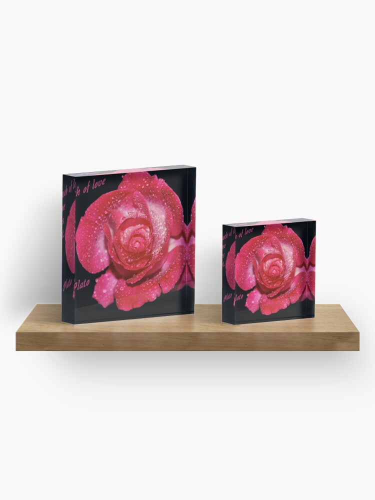 Alternate view of Rose Quote Acrylic Block