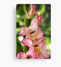 Tickled Pink Metal Print