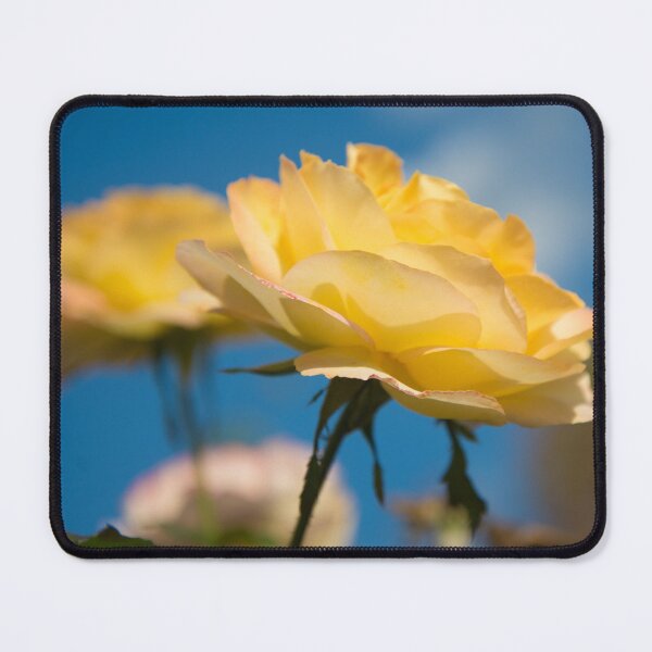 Item preview, Rose Face to the Sun designed and sold by TinyCameraNinja.