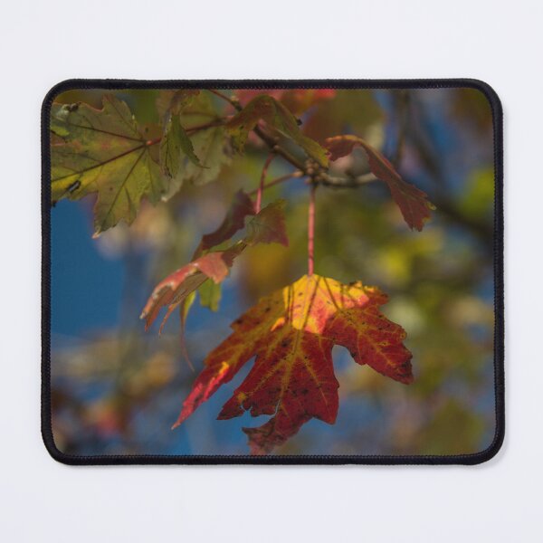 Item preview, Painted Leaves designed and sold by TinyCameraNinja.