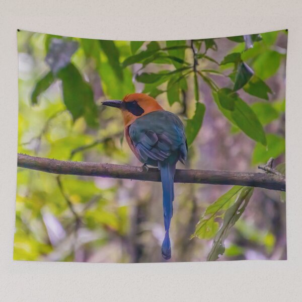 Item preview, Motmot Colorful Bird in the Jungle designed and sold by SafariByMarisa.