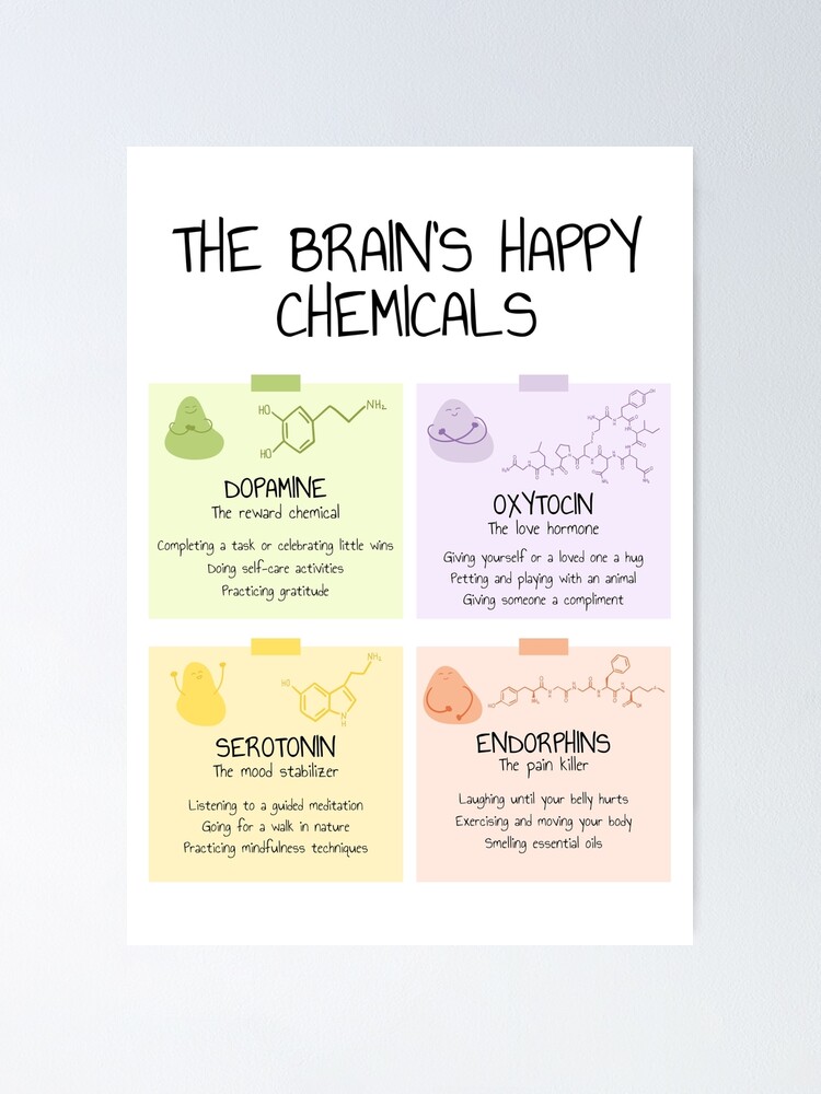 The Happiness Chemicals by Georgia Perry | Daily Rituals to Activate Joy  Naturally | 9781743797457 | Booktopia
