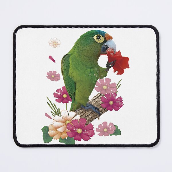 Item preview, orange fronted parakeet designed and sold by obscurite.