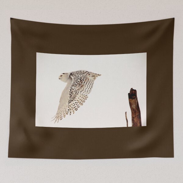 Item preview, Snowy Owl In Flight designed and sold by Debbie Oppermann.