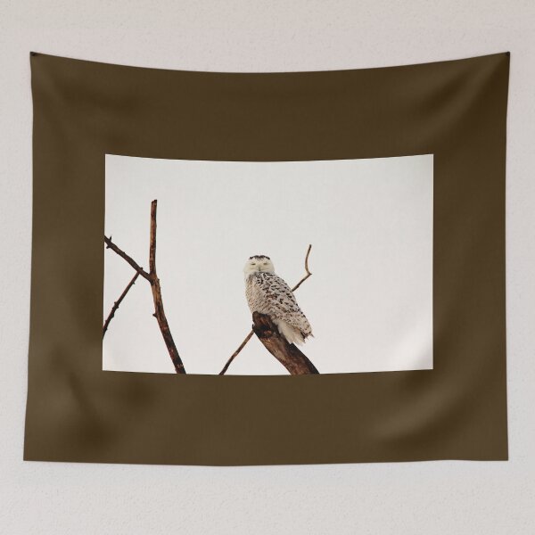 Item preview, Snoozing Snowy Owl designed and sold by Debbie Oppermann.