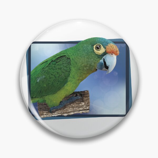 Item preview, orange fronted parakeet designed and sold by obscurite.