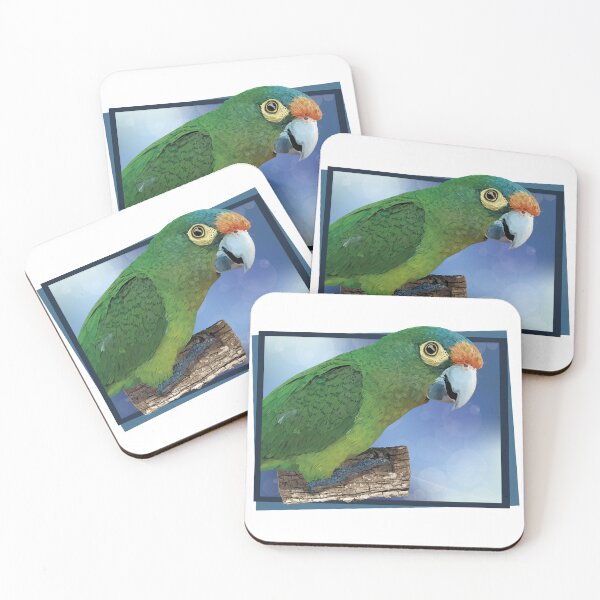 Item preview, orange fronted parakeet designed and sold by obscurite.