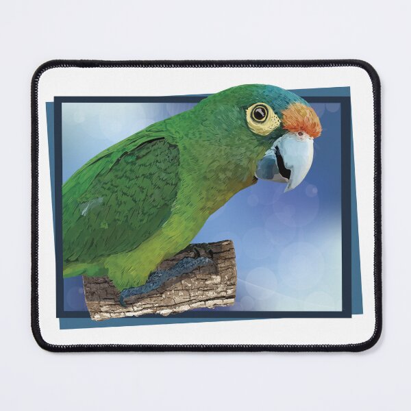 Item preview, orange fronted parakeet designed and sold by obscurite.