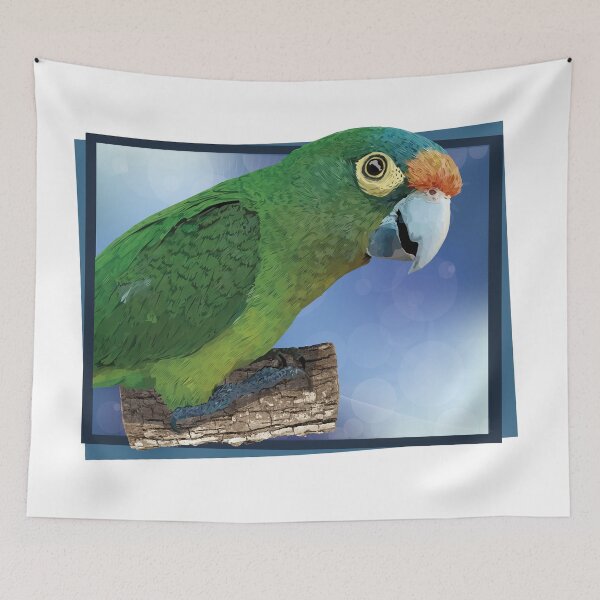 Item preview, orange fronted parakeet designed and sold by obscurite.