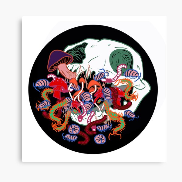 Decay Design Canvas Print