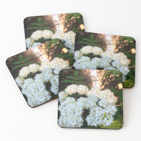 Item preview, Calm designed and sold by SnappedbyRivka.