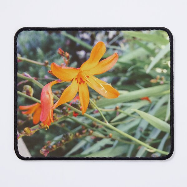 Item preview, Kind designed and sold by SnappedbyRivka.