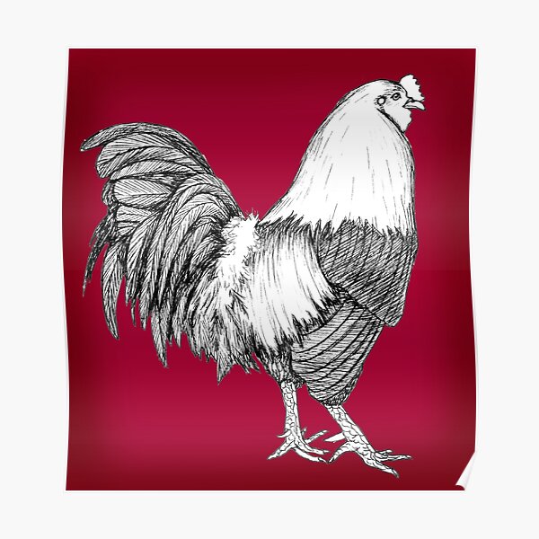 Vintage QUALITY Poster print.ROOSTER.Cock.Room art Decor.Interior design.322