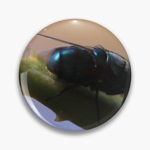 Item preview, Little Fly in Our Garden designed and sold by Geoff Treagus.