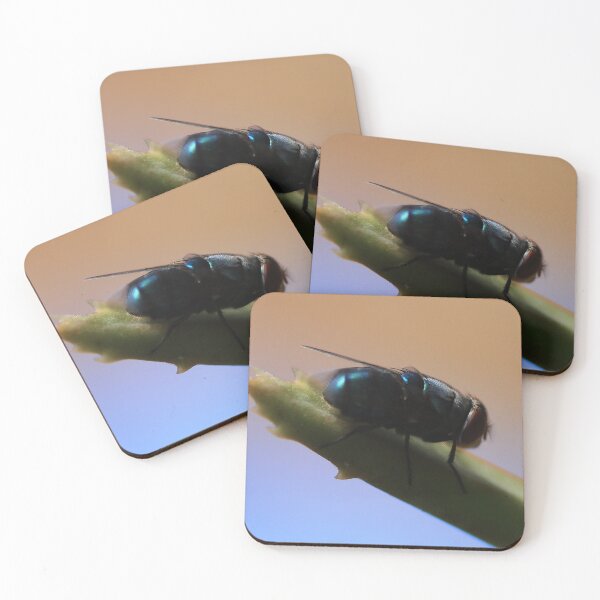 Item preview, Little Fly in Our Garden designed and sold by Geoff Treagus.