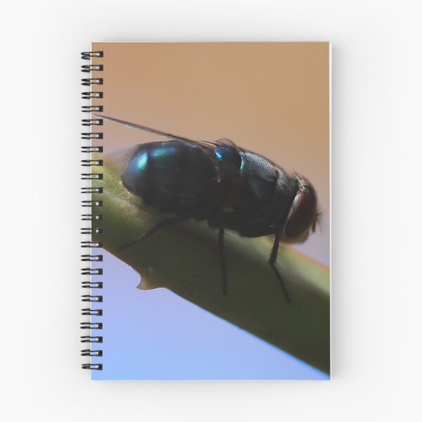 Item preview, Little Fly in Our Garden designed and sold by Geoff Treagus.